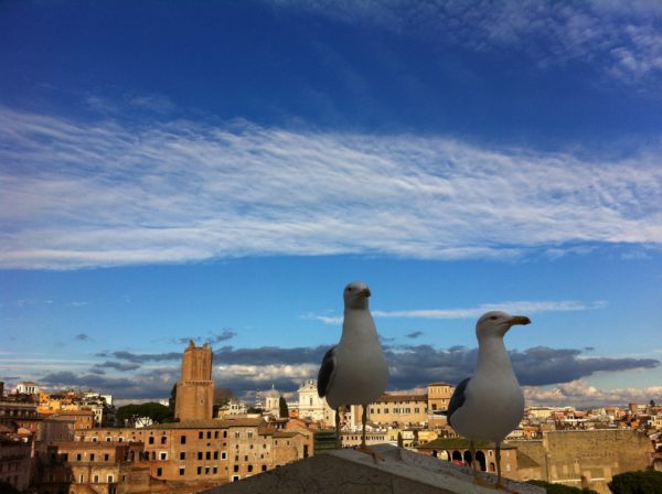 Unterwegs in Rom mit Andrea Welz - Foto © Welz