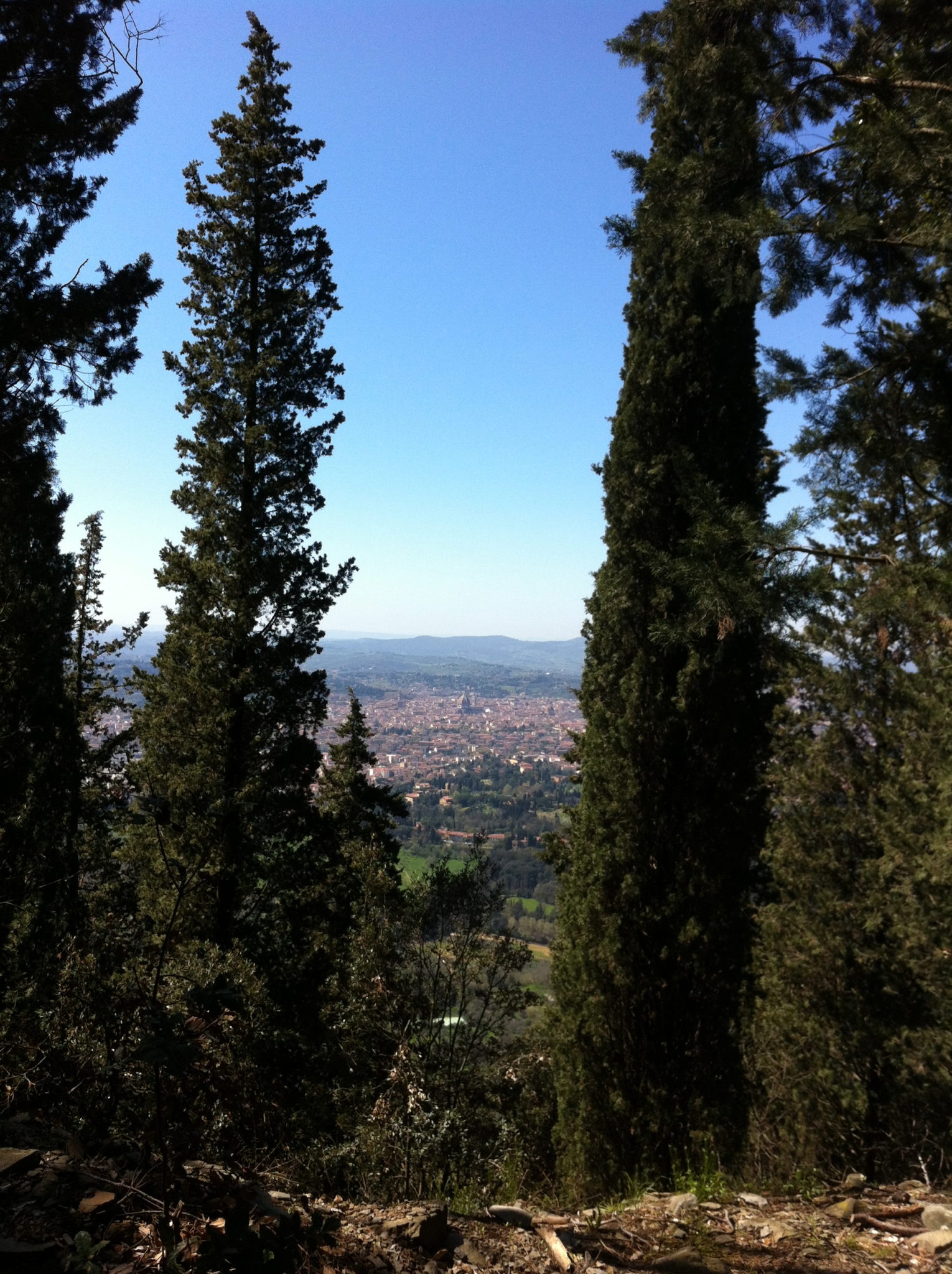 Zu Fuß? Von Fiesole nach Settignano! Kunst und Reisen